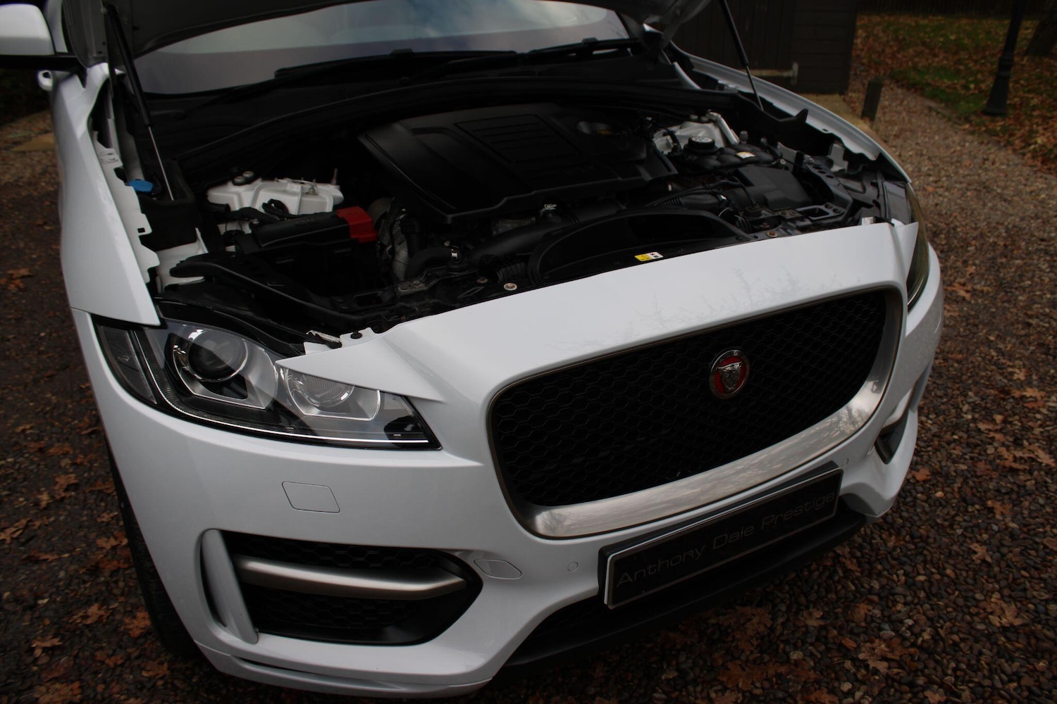 Used Jaguar F-Pace 2018 for sale - 77255500: Photo 39