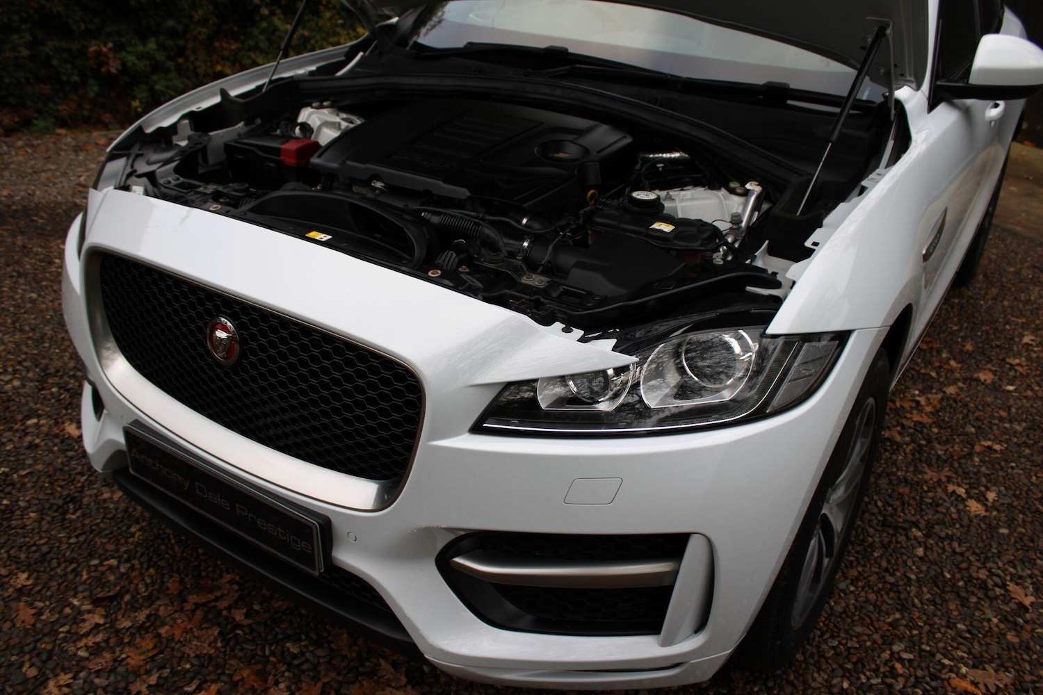 Used Jaguar F-Pace 2018 for sale - 77255500: Photo 41