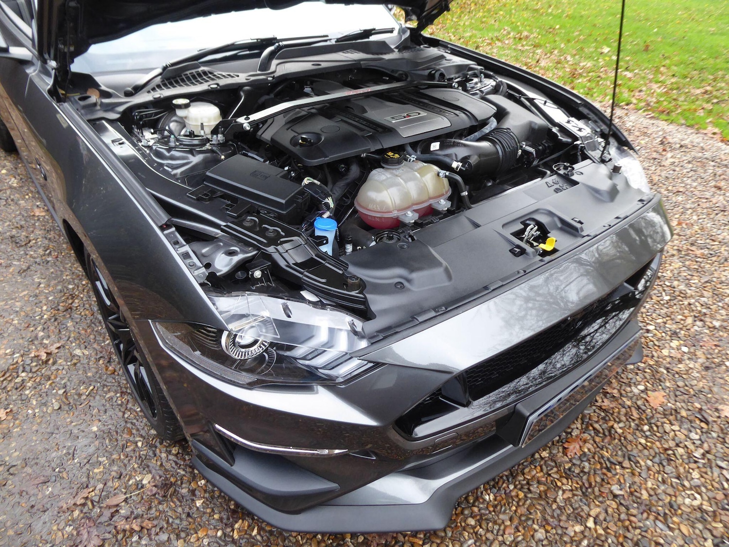 Used Ford Mustang 2020 for sale - 77359992: Photo 26