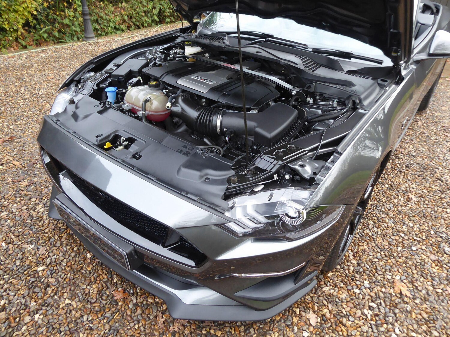 Used Ford Mustang 2020 for sale - 77359992: Photo 28