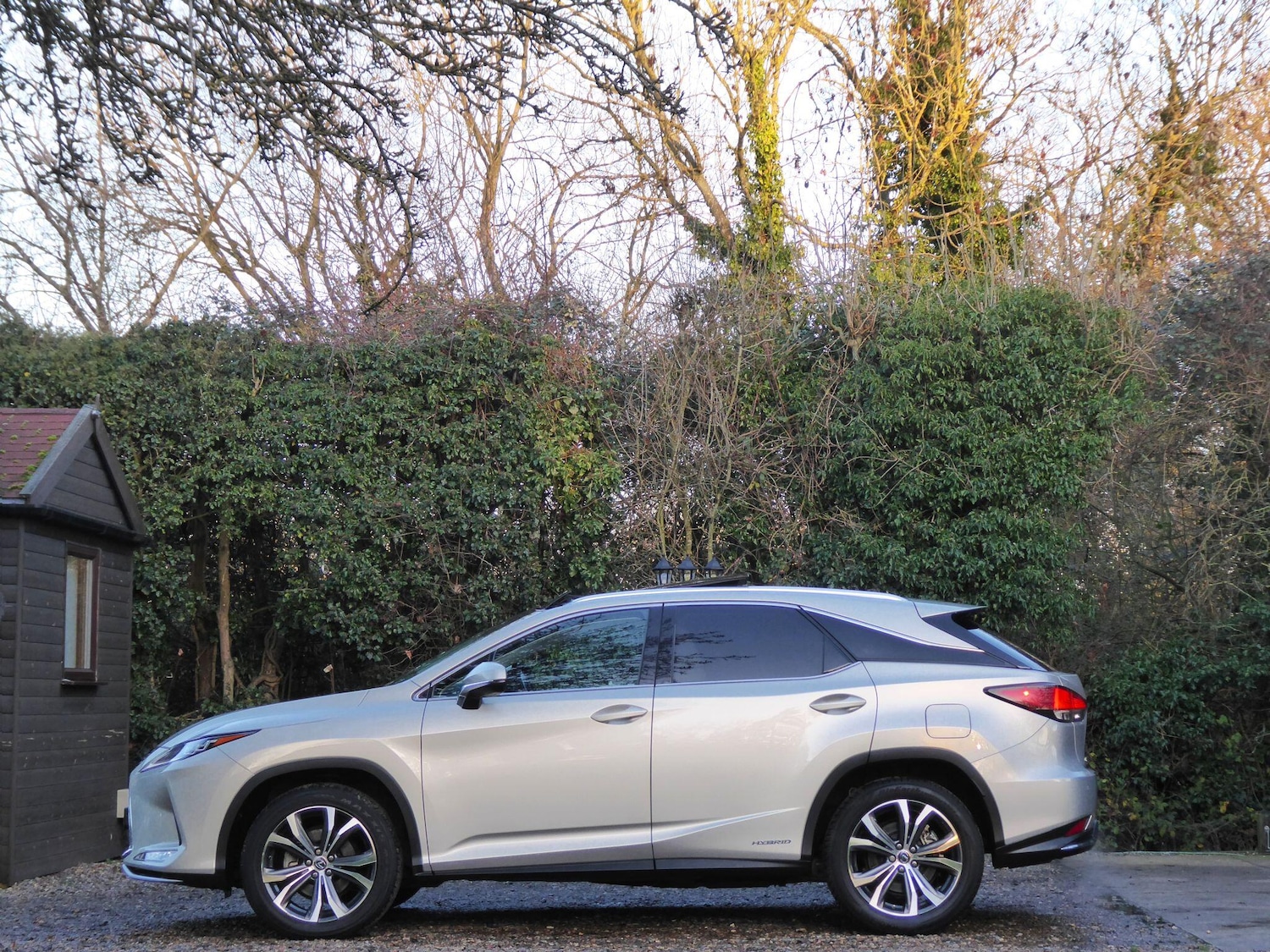 Used Lexus RX 2020 for sale - 77255544: Photo 5