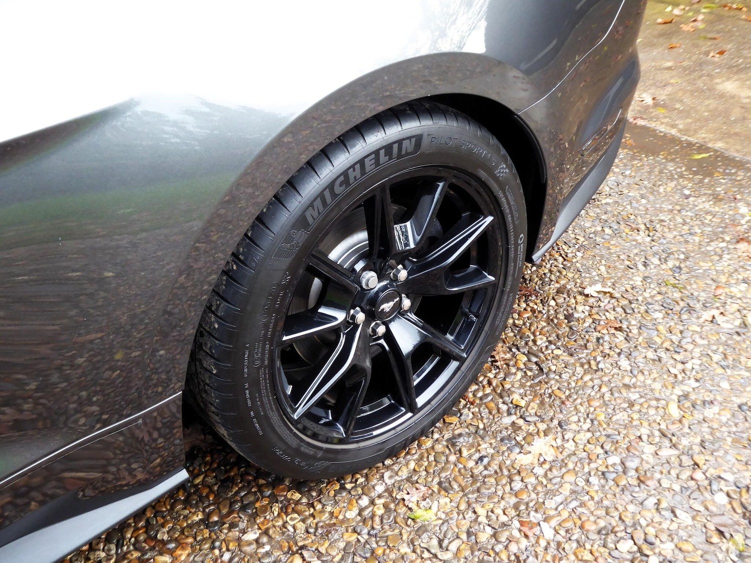 Used Ford Mustang 2020 for sale - 77326230: Photo 24