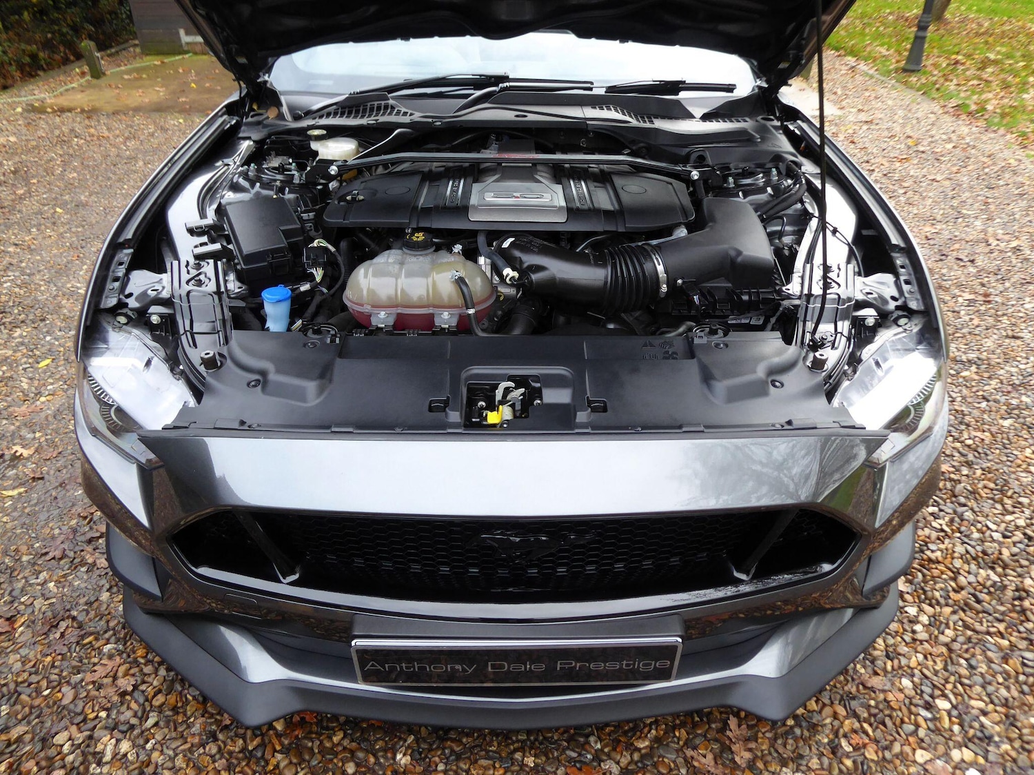 Used Ford Mustang 2020 for sale - 77326230: Photo 27