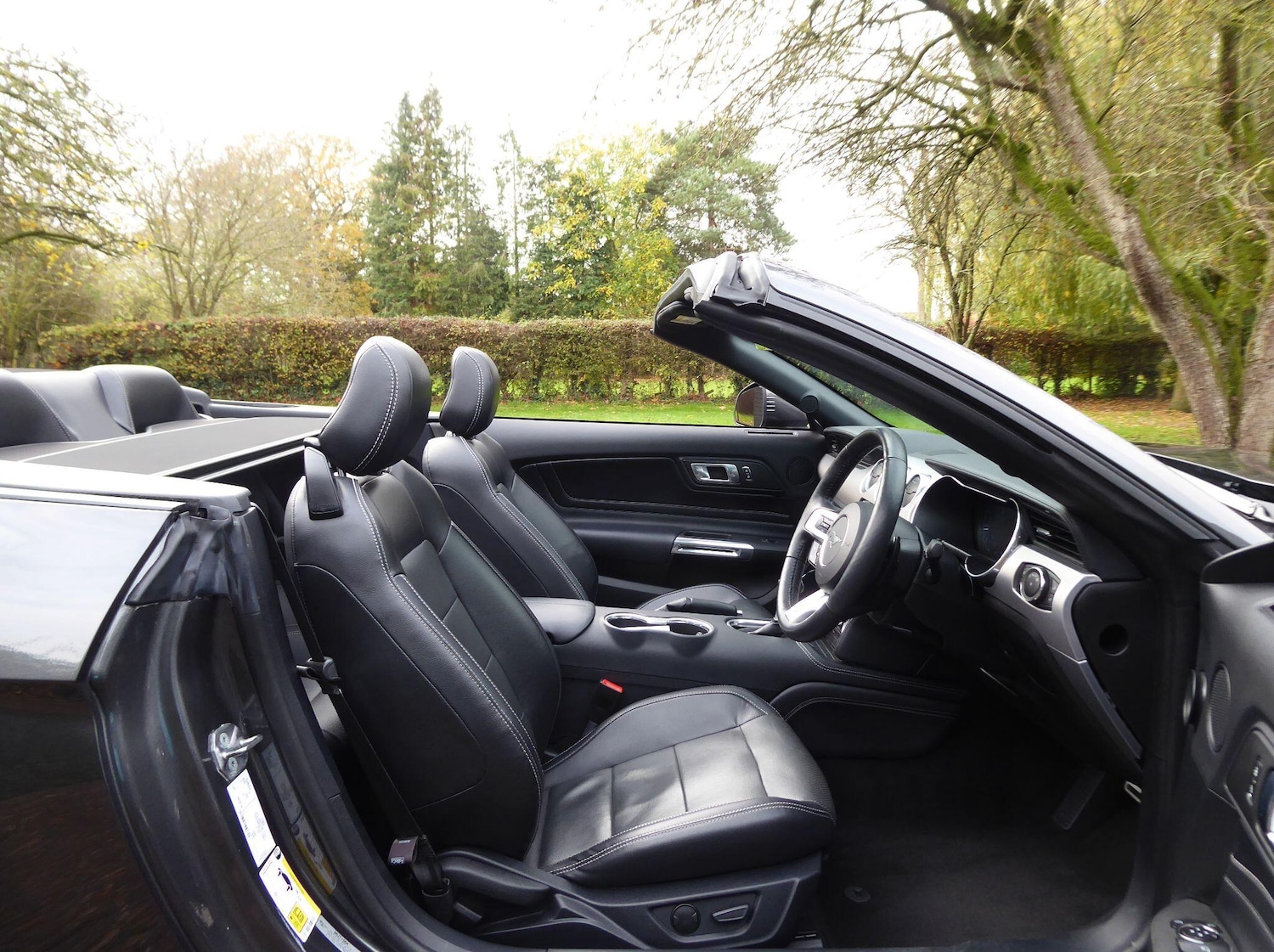 Used Ford Mustang 2020 for sale - 77326230: Photo 6