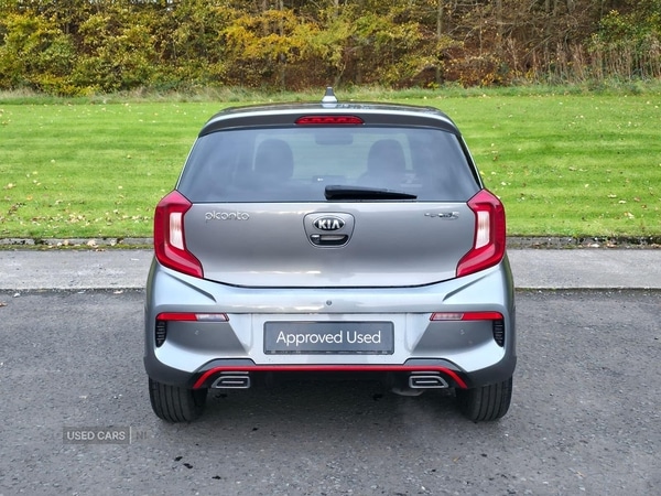 Used Kia Picanto 2021 for sale - 76284908: Photo 5