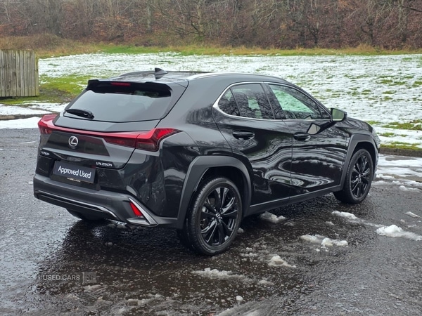 Used Lexus UX 2023 for sale - 77156920: Photo 10