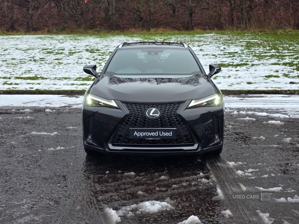 Used Lexus UX 2023 for sale - 77156920: Photo 2