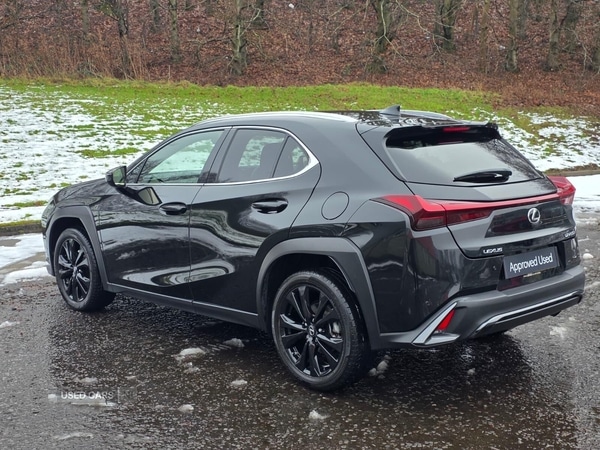 Used Lexus UX 2023 for sale - 77156920: Photo 4