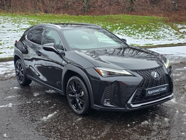 Used Lexus UX 2023 for sale - 77156920: Photo 5