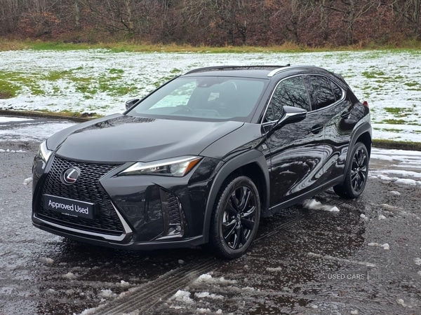 Used Lexus UX 2023 for sale - 77156920: Photo 6