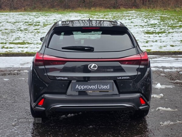 Used Lexus UX 2023 for sale - 77156920: Photo 8