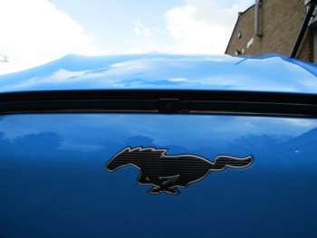 Used Ford Mustang Mach-E 2023 for sale - 70760576: Photo