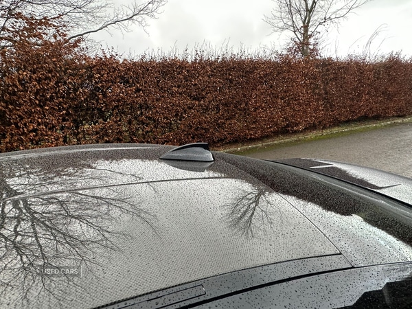 Used BMW M4 2016 for sale - 77176061: Photo 10