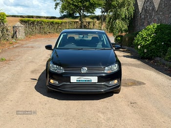 Used Volkswagen Polo 2015 for sale - 79889488: Photo