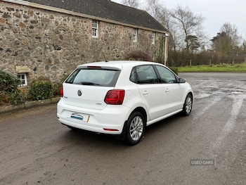 Used Volkswagen Polo 2016 for sale - 77613454: Photo
