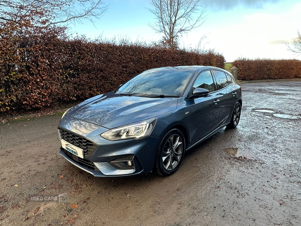 Used Ford Focus 2019 for sale - 76659504: Photo 3