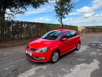 Used Volkswagen Polo 2016 for sale - 79485325: Photo