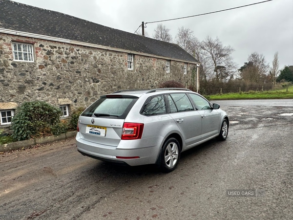 Used Skoda Octavia 2019 for sale - 76840163: Photo 4