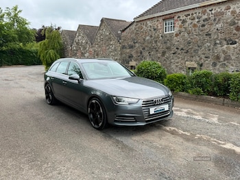 Used Audi A4 2016 for sale - 79350019: Photo