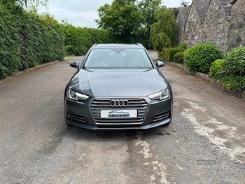 Used Audi A4 2016 for sale - 79350019: Photo