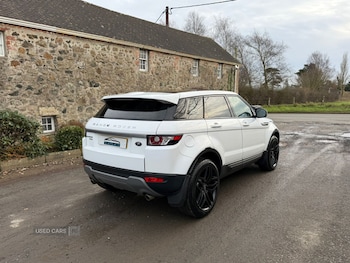 Used Land Rover Range Rover Evoque 2013 for sale - 77599314: Photo