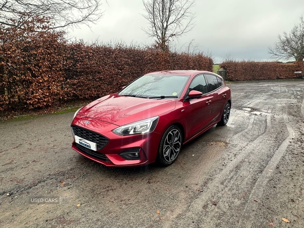Used Ford Focus 2019 for sale - 76866634: Photo 3