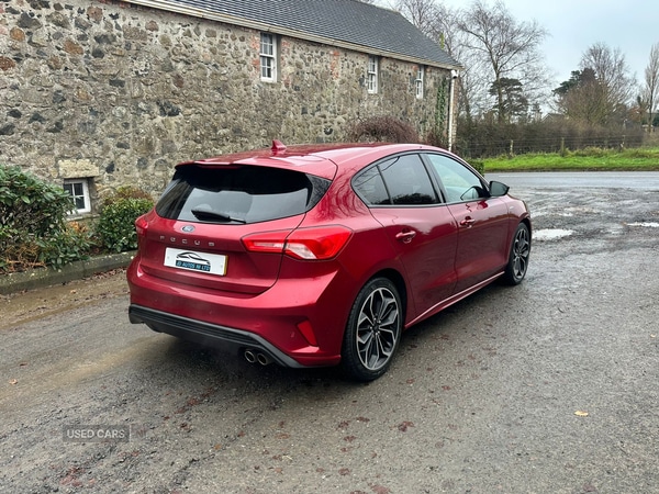 Used Ford Focus 2019 for sale - 76866634: Photo 6