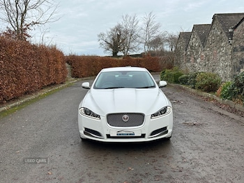 Used Jaguar XF 2014 for sale - 76659507: Photo