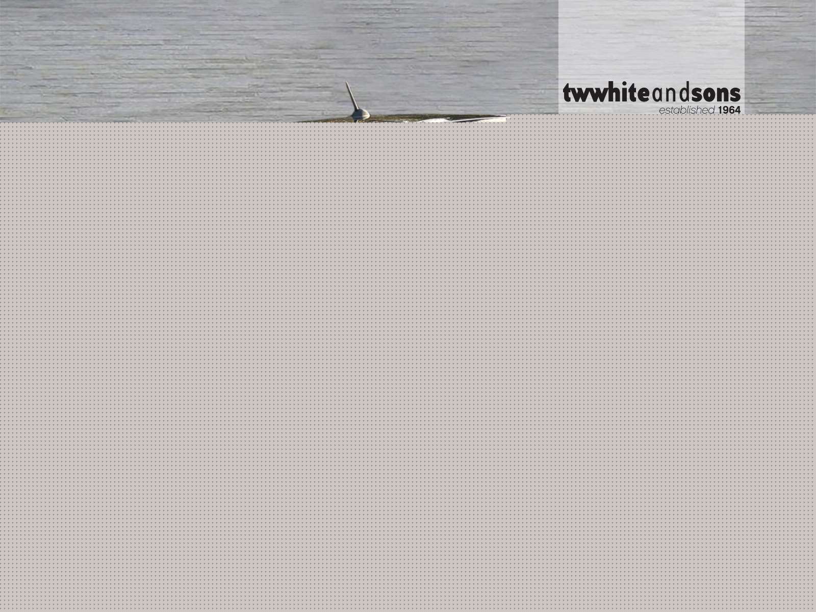 Used Suzuki Swift 2025 for sale - 76770249: Photo 7