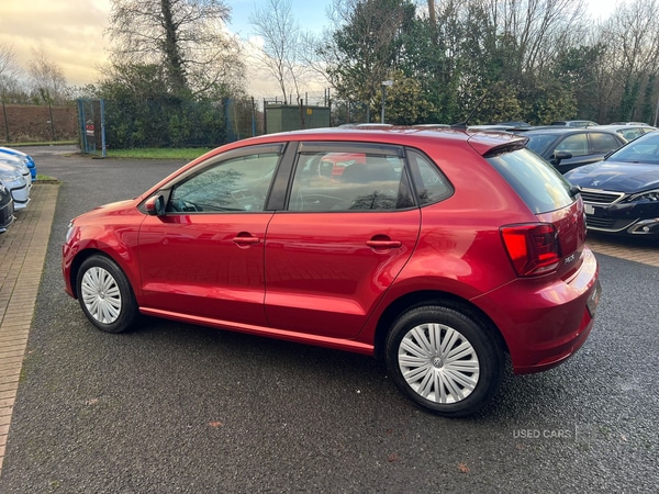 Used Volkswagen Polo for sale - 77456785: Photo 6