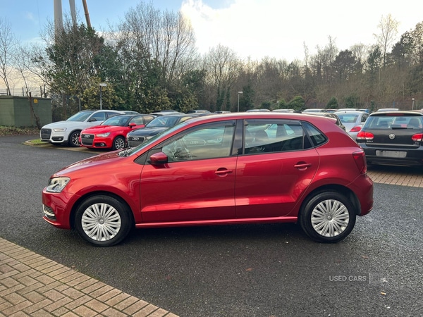 Used Volkswagen Polo for sale - 77456785: Photo 8