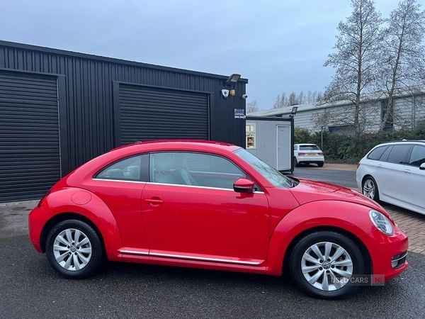 Used Volkswagen Beetle for sale - 77091974: Photo 2
