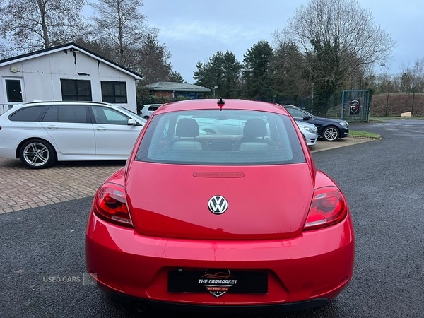 Used Volkswagen Beetle for sale - 77091974: Photo 3