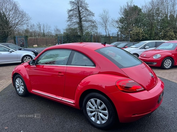 Used Volkswagen Beetle for sale - 77091974: Photo 4