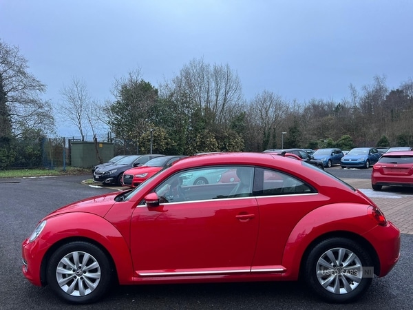 Used Volkswagen Beetle for sale - 77091974: Photo 5