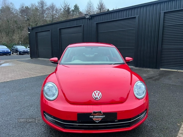 Used Volkswagen Beetle for sale - 77091974: Photo 6