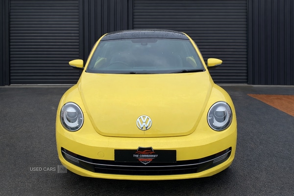 Used Volkswagen Beetle for sale - 77785055: Photo 2