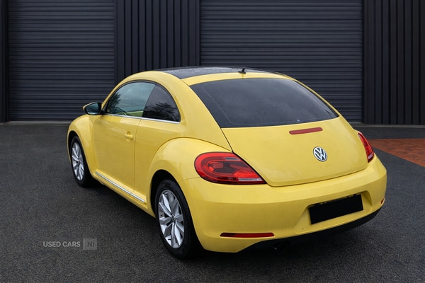 Used Volkswagen Beetle for sale - 77785055: Photo 5