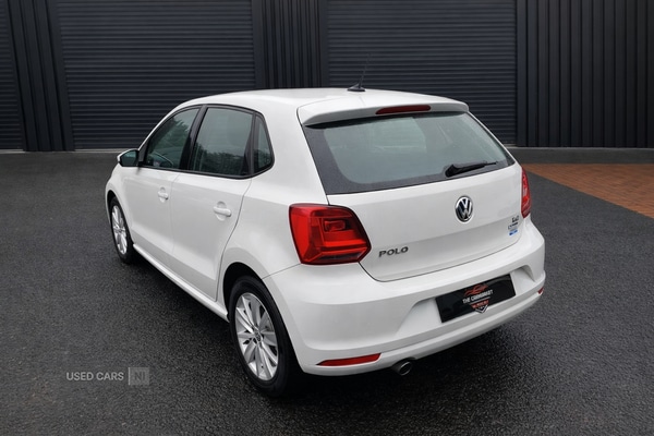 Used Volkswagen Polo for sale - 77785054: Photo 5