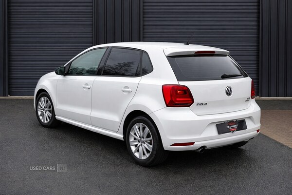 Used Volkswagen Polo for sale - 77634296: Photo 5