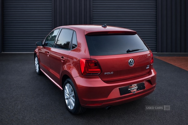 Used Volkswagen Polo for sale - 78035508: Photo 5