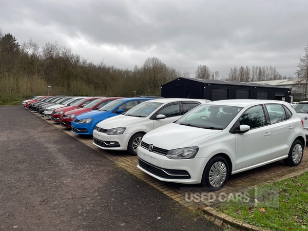 Used Volkswagen Polo for sale - 77479896: Photo 14