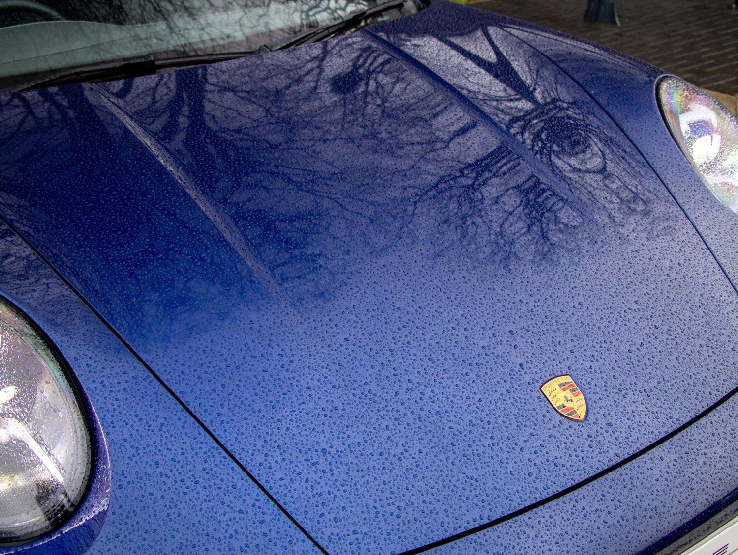 Used Porsche 911 2023 for sale - 77219660: Photo 19