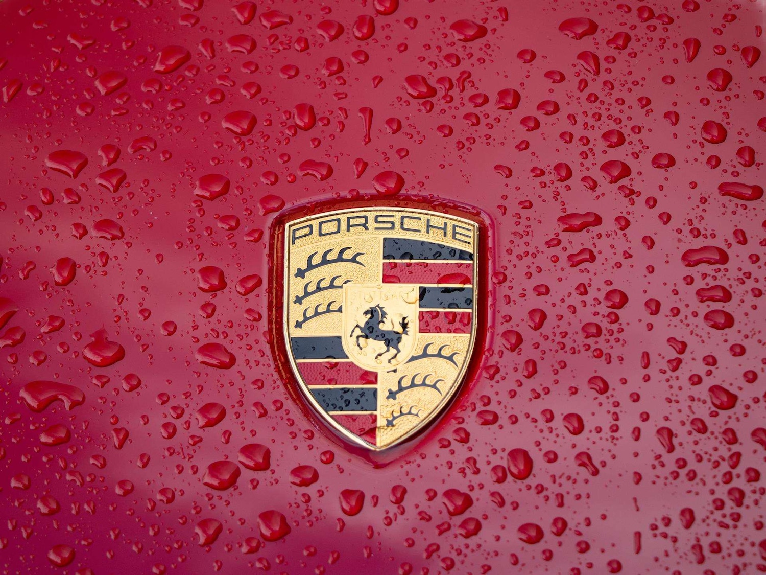 Used Porsche Macan 2024 for sale - 78037677: Photo 12