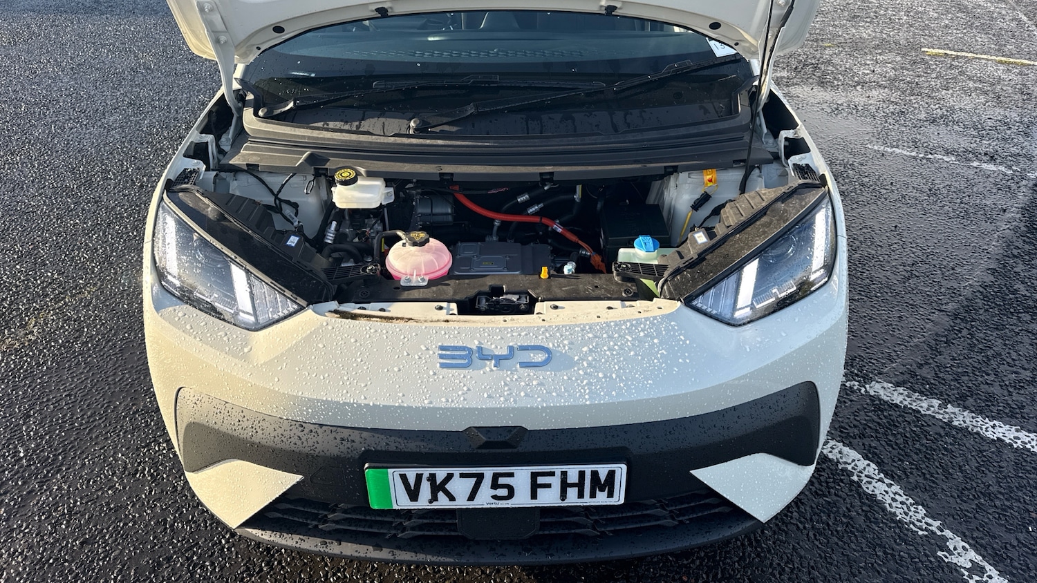 Used BYD Dolphin 2025 for sale - 76504830: Photo 8