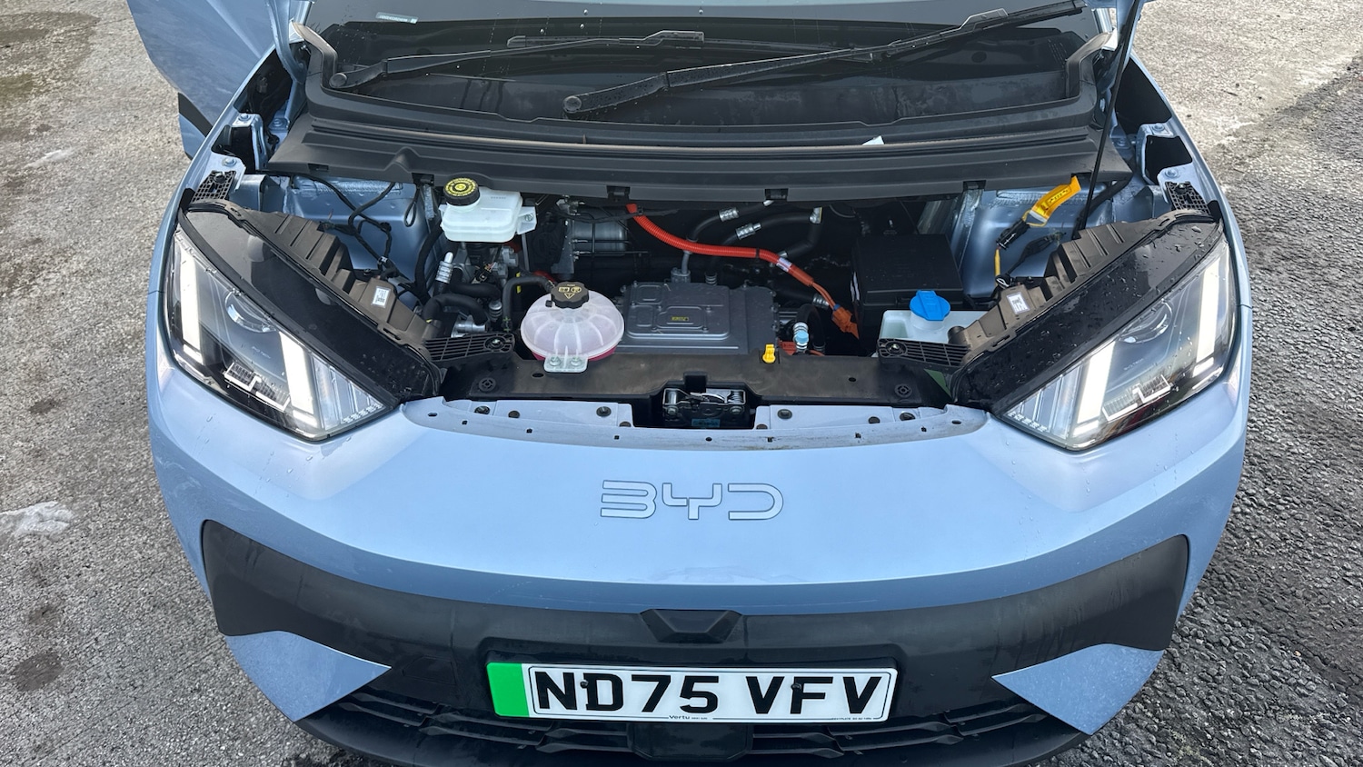 Used BYD Dolphin 2025 for sale - 77149175: Photo 8