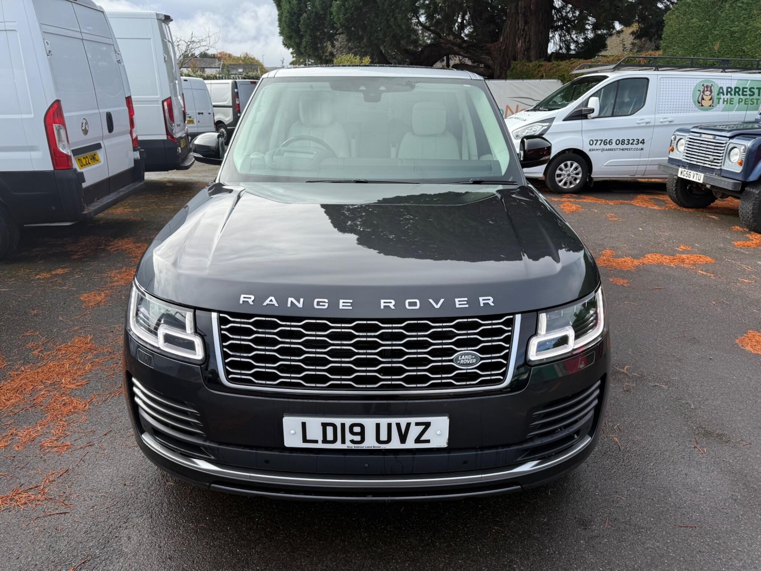 Used Land Rover Range Rover 2019 for sale - 76561662: Photo 6