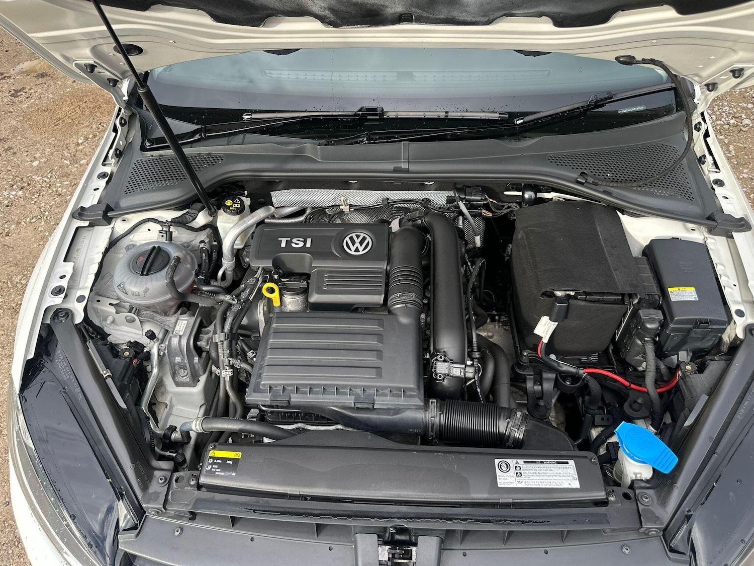 Used Volkswagen Golf for sale - 76522374: Photo 24