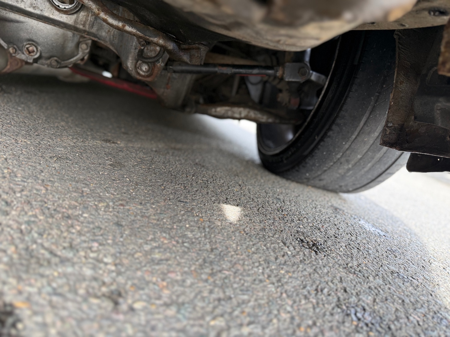 Used Nissan Silvia 2005 for sale - 78202262: Photo 18