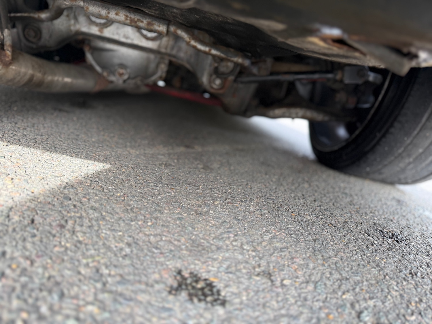 Used Nissan Silvia 2005 for sale - 78202262: Photo 20